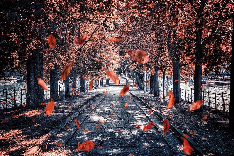 L'Ile Aux Cygnes by Manjik Pictures wall art