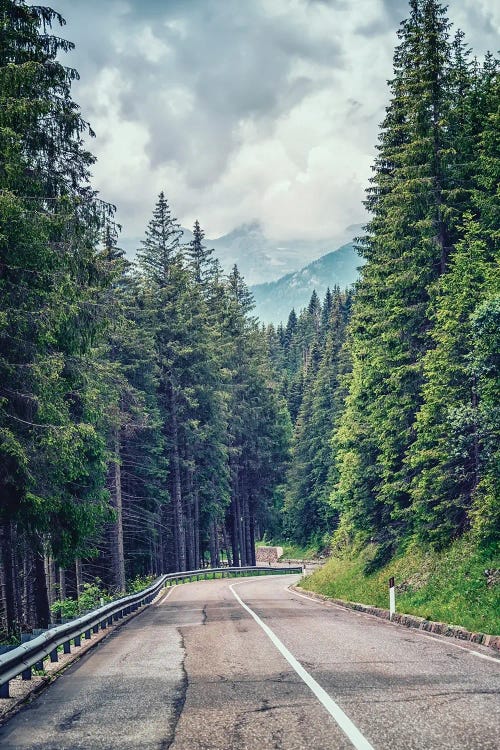 Mountain Road by Manjik Pictures wall art
