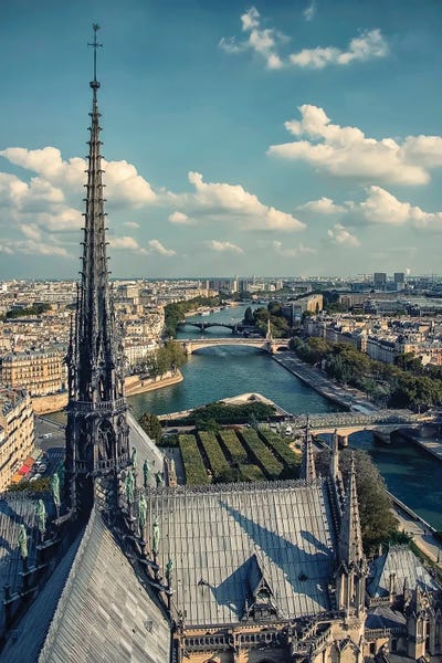 Notre Dame Cathedral: Notre-Dame Roof by Manjik Pictures