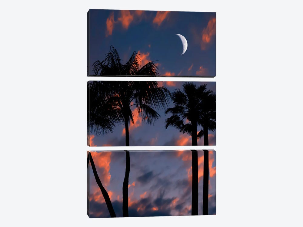 Tropical Night by Manjik Pictures 3-piece Canvas Print