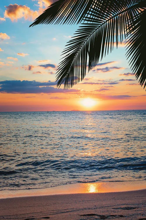 Beach Sunset