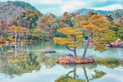 Japanese Garden by Manjik Pictures art print
