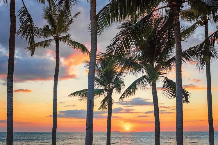 Sunset On The Beach by Manjik Pictures wall art
