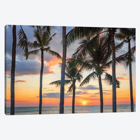 Sunset On The Beach Canvas Print #EMN1192} by Manjik Pictures Canvas Art