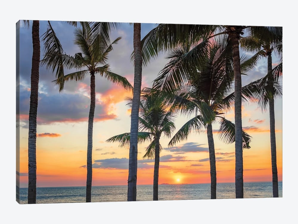 Sunset On The Beach by Manjik Pictures 1-piece Canvas Artwork