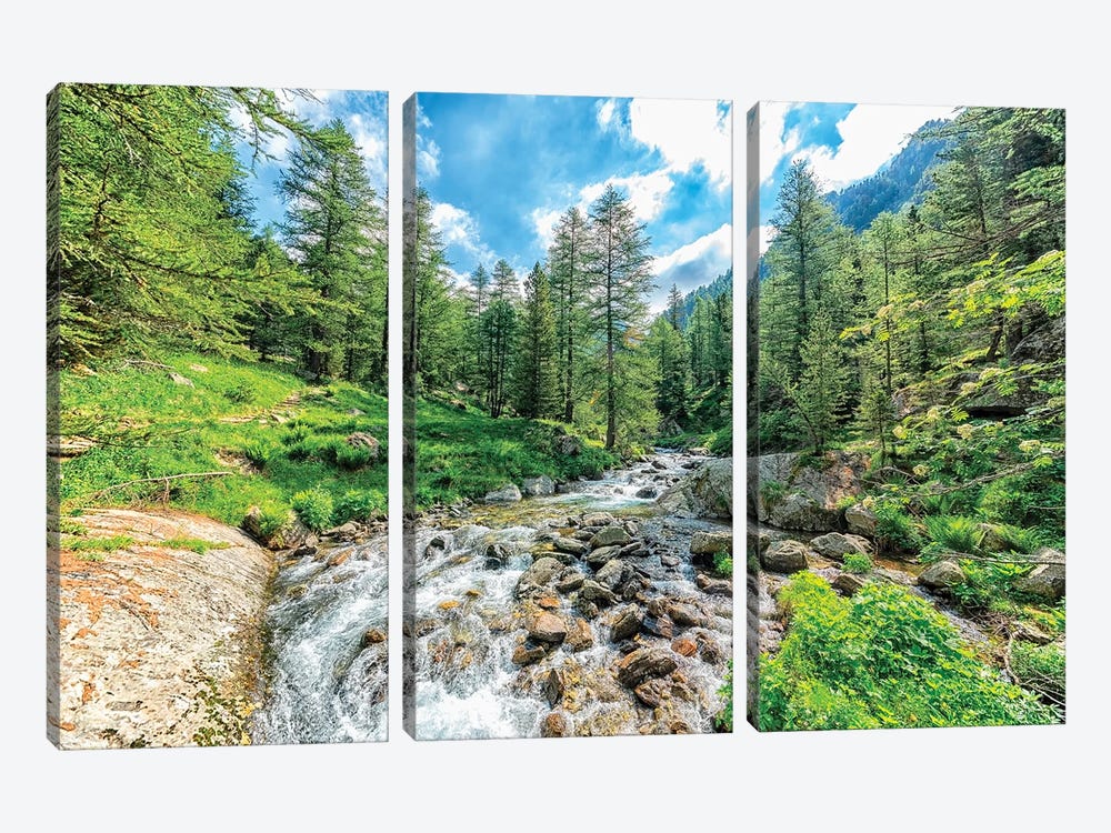 Into The Wild by Manjik Pictures 3-piece Canvas Wall Art