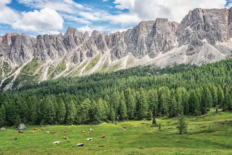 Italian Alps