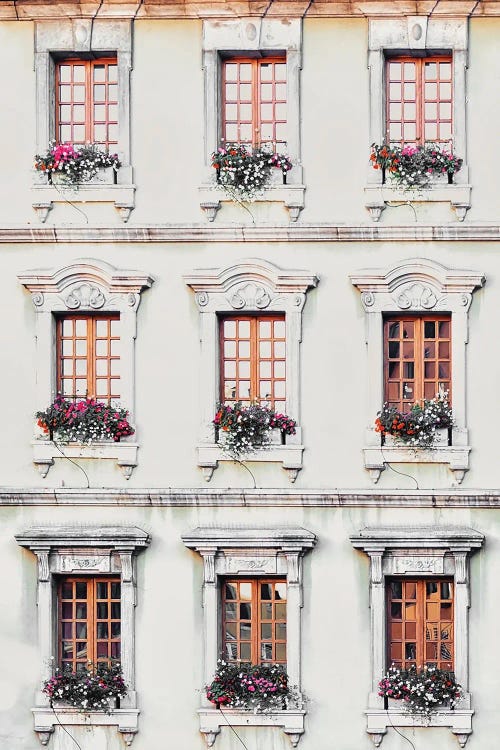 Flowery Windows