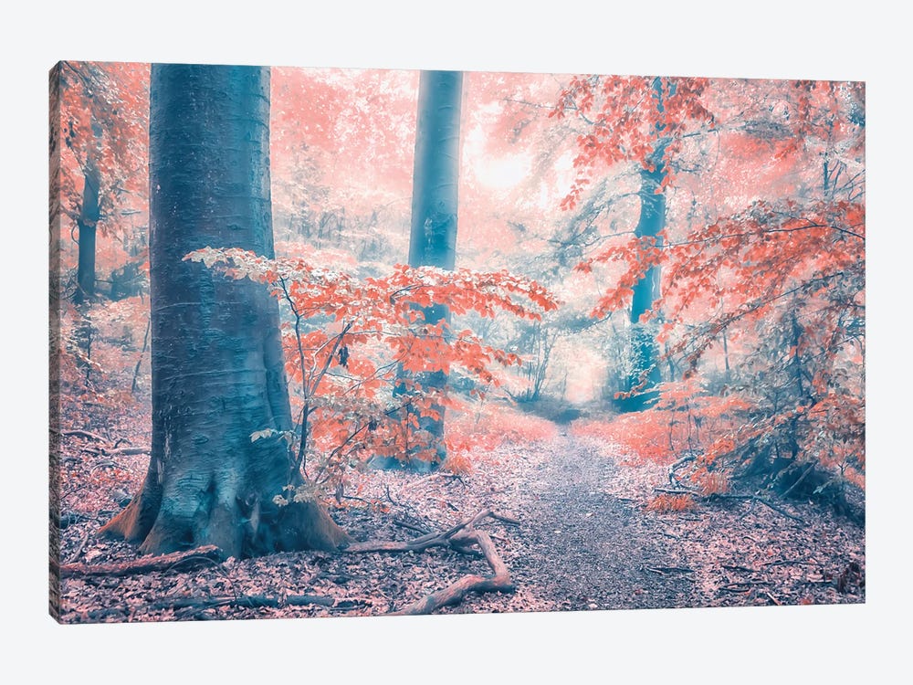 October Forest by Manjik Pictures 1-piece Art Print