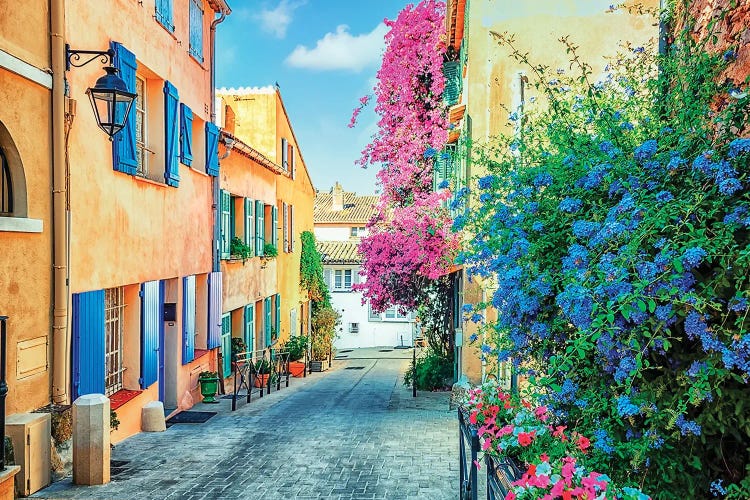 Flowers In Saint Tropez by Manjik Pictures wall art