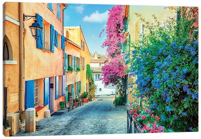 Flowers In Saint Tropez Canvas Art Print - Manjik Pictures