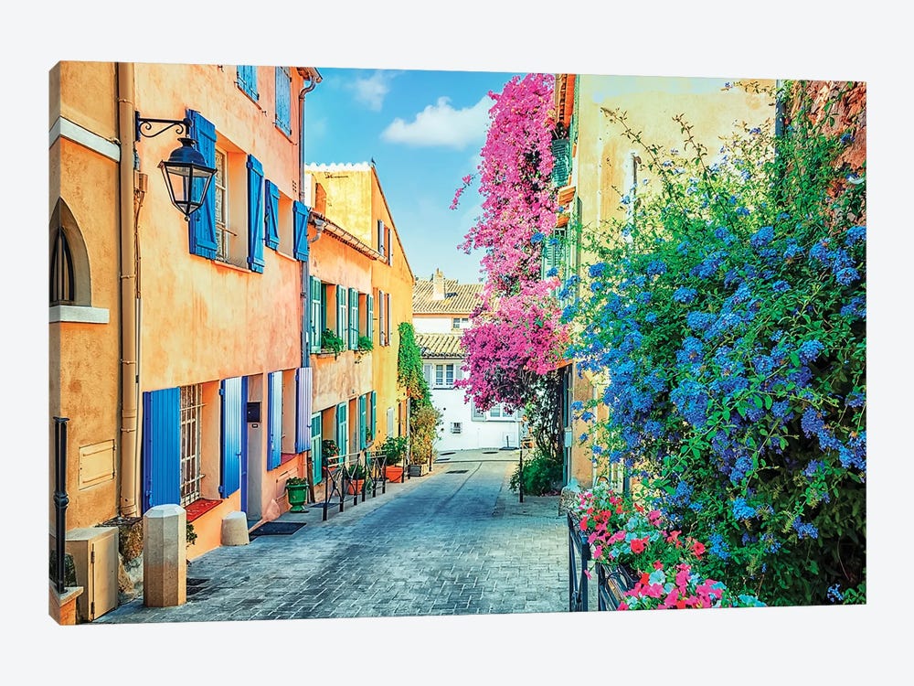 Flowers In Saint Tropez by Manjik Pictures 1-piece Art Print