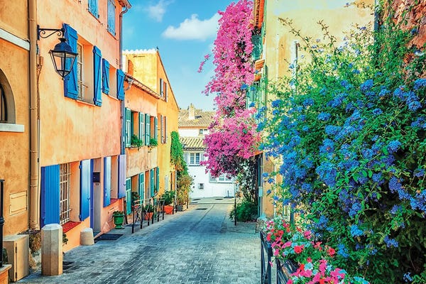Provence-Alpes-Côte d'Azur: Flowers In Saint Tropez by Manjik Pictures