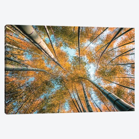 Look Up Canvas Print #EMN1249} by Manjik Pictures Canvas Art