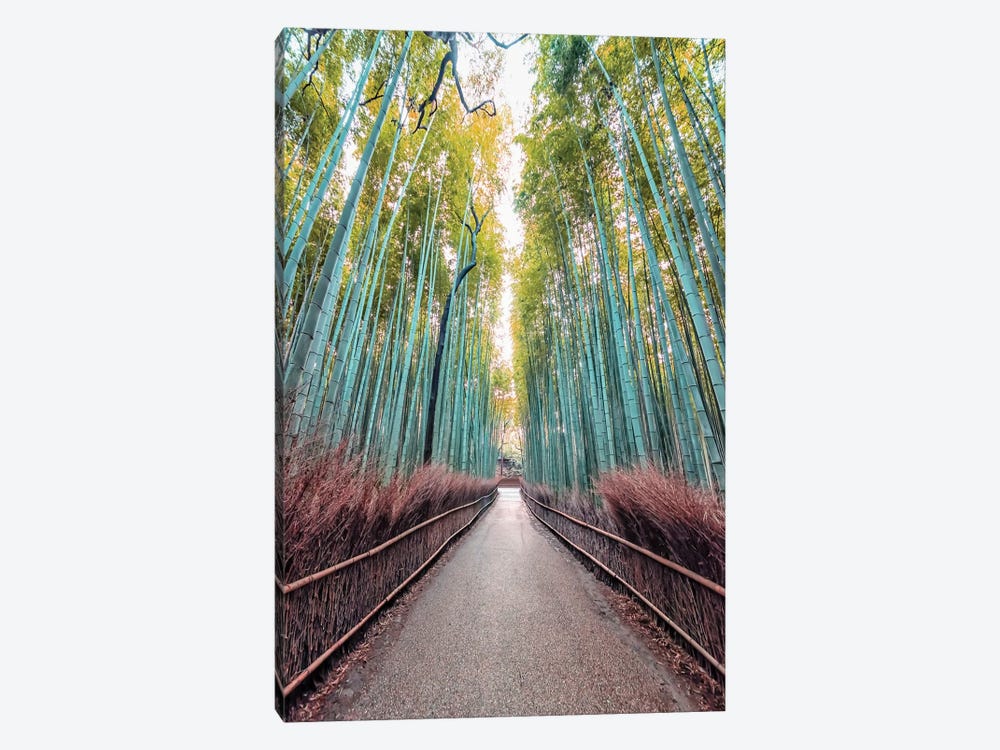 The Path by Manjik Pictures 1-piece Canvas Print