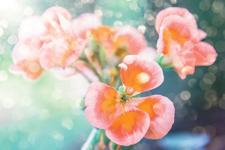Springtime by Manjik Pictures wall art