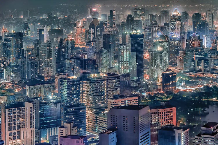 Urban Jungle by Manjik Pictures wall art
