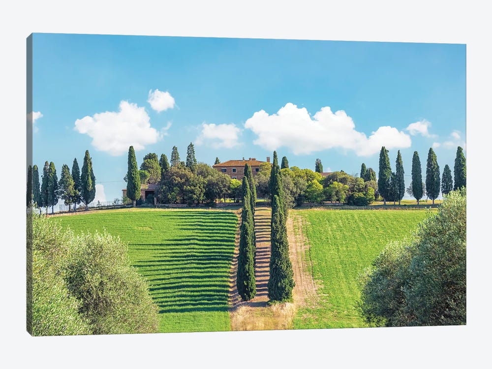 Tuscany Countryside by Manjik Pictures 1-piece Canvas Print
