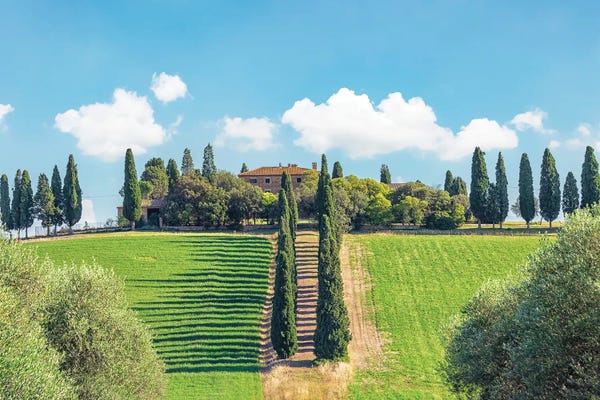 Tuscany: Tuscany Countryside by Manjik Pictures