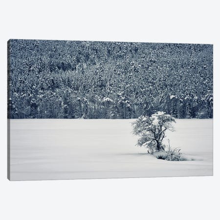 Winter Is Coming Canvas Print #EMN130} by Manjik Pictures Canvas Artwork