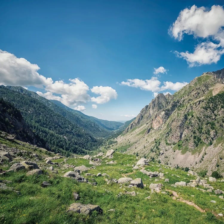 French Alps Landscape