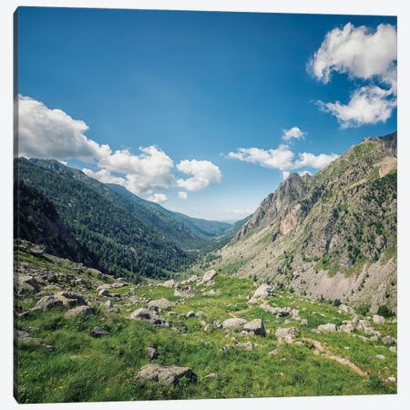 French Alps Landscape Canvas Print #EMN1310} by Manjik Pictures Canvas Art
