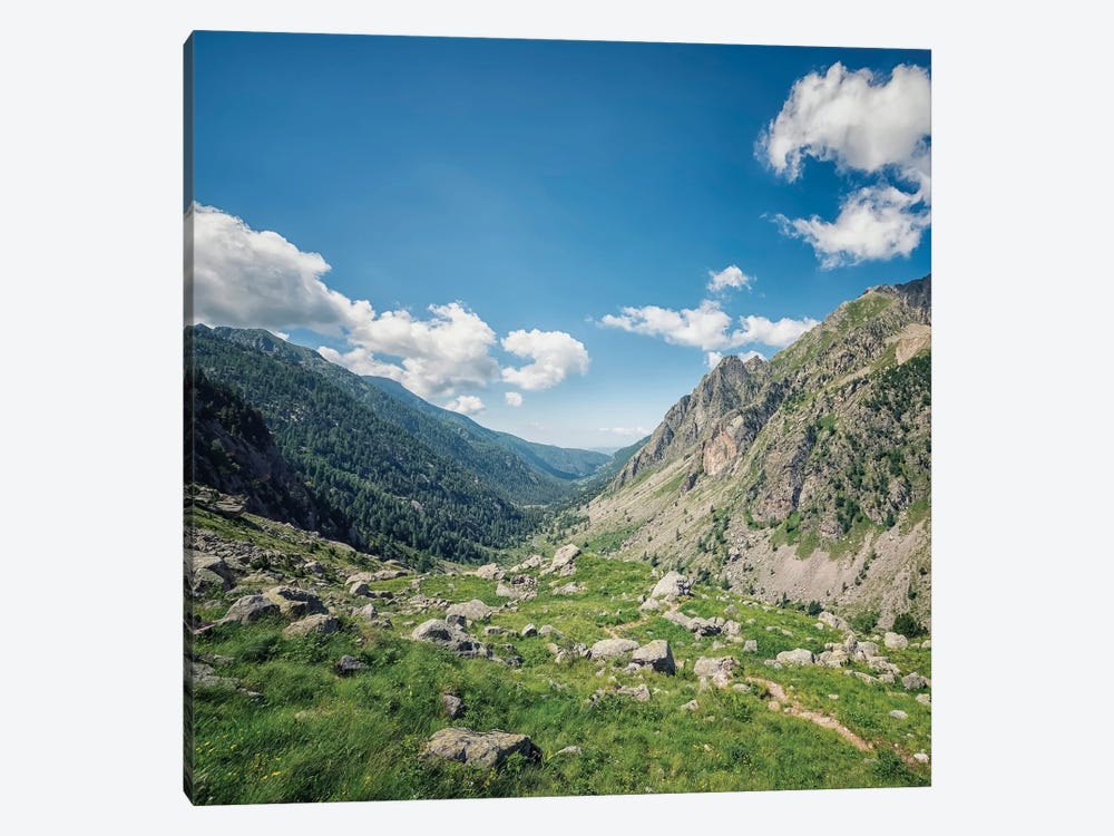 French Alps Landscape by Manjik Pictures 1-piece Canvas Print
