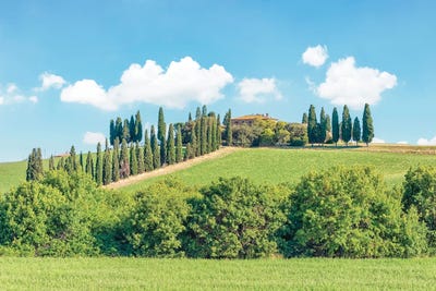 Tuscany Landscape by Manjik Pictures art print