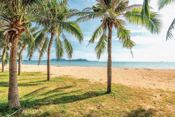 Fine Art Print: Chonburi Landscape by Manjik Pictures