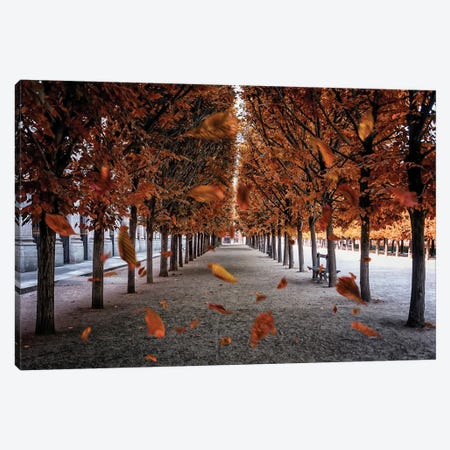 Falling Leaves In Paris Canvas Print #EMN1423} by Manjik Pictures Canvas Wall Art