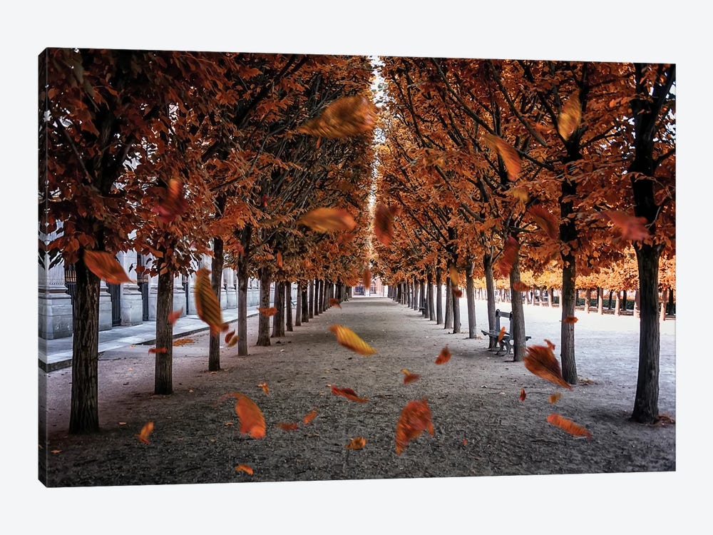 Falling Leaves In Paris by Manjik Pictures 1-piece Canvas Artwork