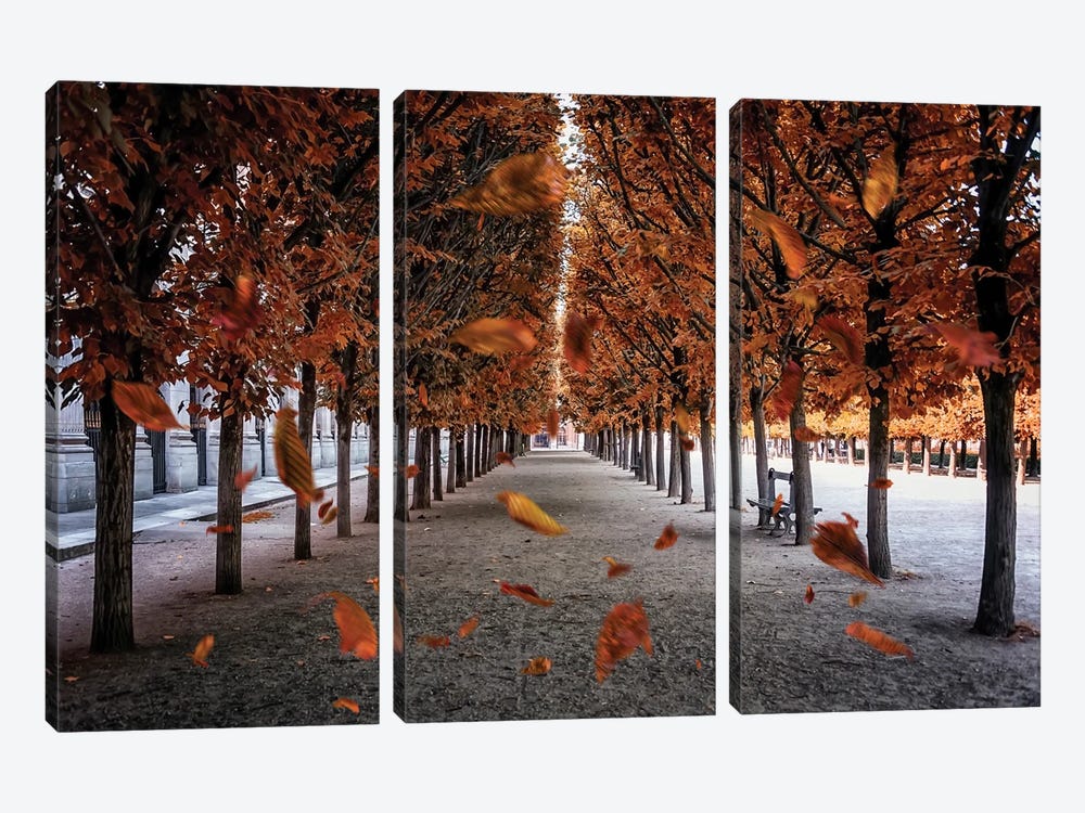 Falling Leaves In Paris by Manjik Pictures 3-piece Canvas Artwork