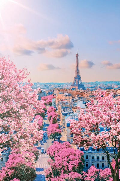 Eiffel Tower: Sping In Paris by Manjik Pictures