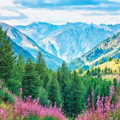 Isola 2000 by Manjik Pictures art print