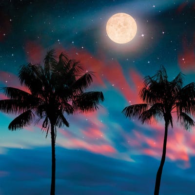 Island Night by Manjik Pictures canvas print