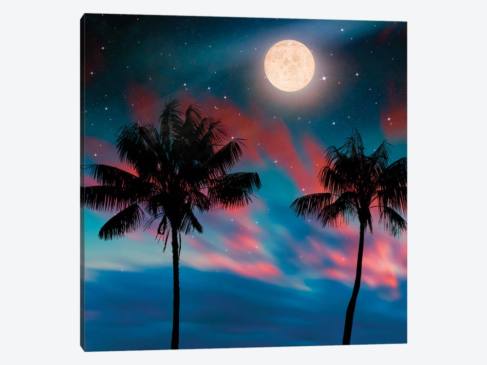 Island Night by Manjik Pictures 1-piece Canvas Wall Art