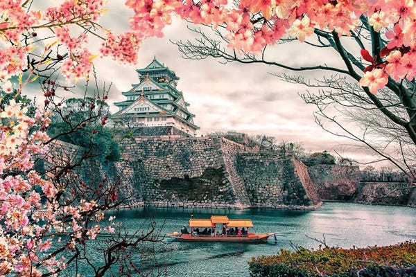 Osaka: Sakura In Osaka by Manjik Pictures