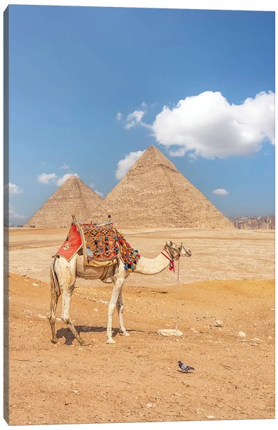 Giza Canvas Art Print - Camel Art