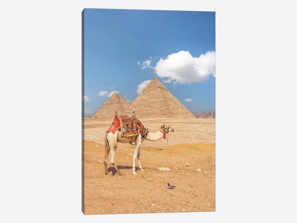 Giza by Manjik Pictures 1-piece Art Print