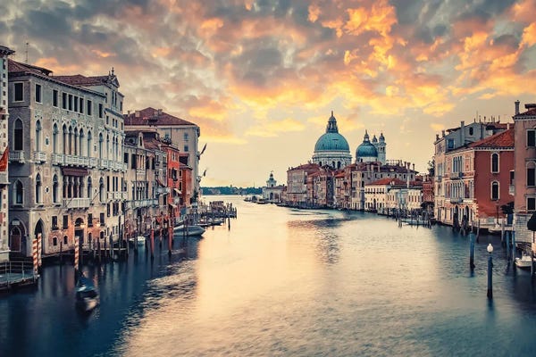 Veneto: Venice In The Morning by Manjik Pictures
