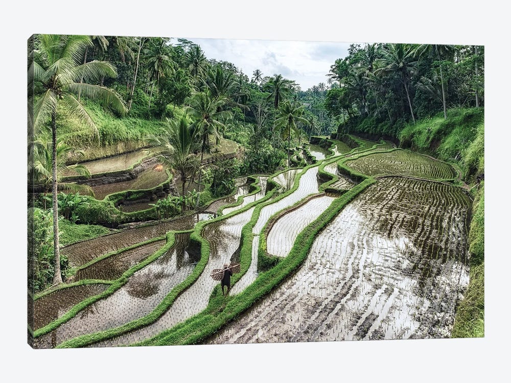 Bali Rice Terraces 1-piece Canvas Wall Art