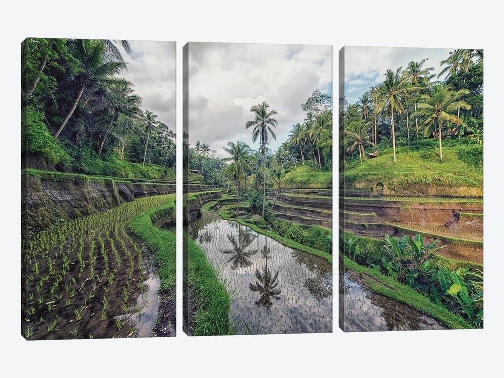 Tropical Terraces by Manjik Pictures 3-piece Canvas Wall Art