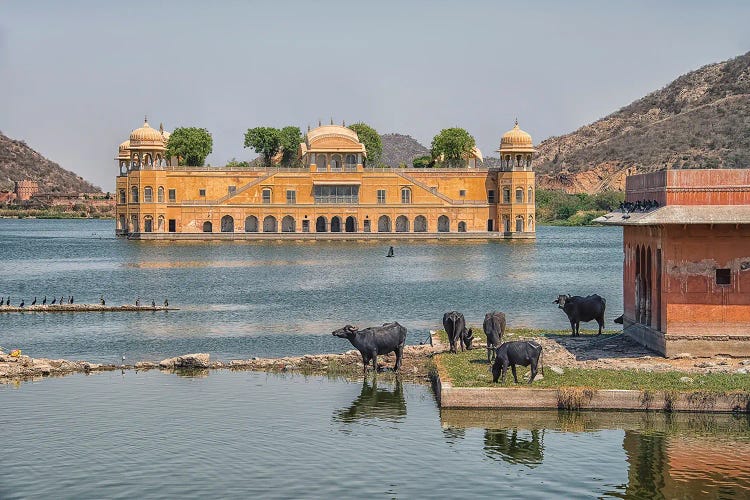 Jal Mahal by Manjik Pictures wall art