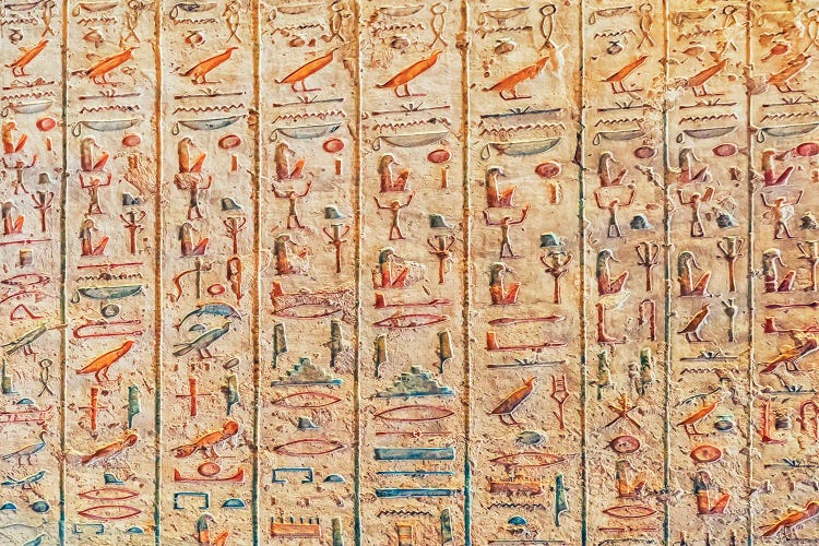 Hieroglyphs by Manjik Pictures wall art