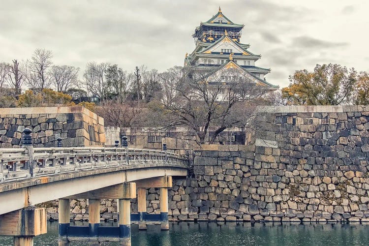 Castle In Japan