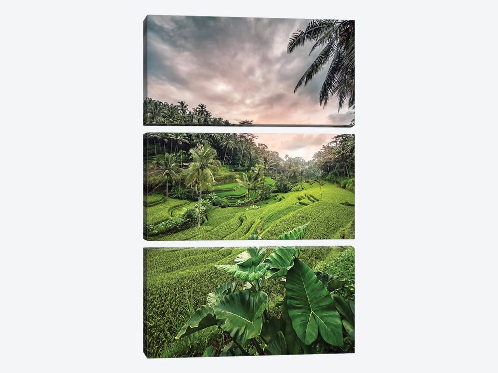 Ubud Sunset by Manjik Pictures 3-piece Canvas Art Print