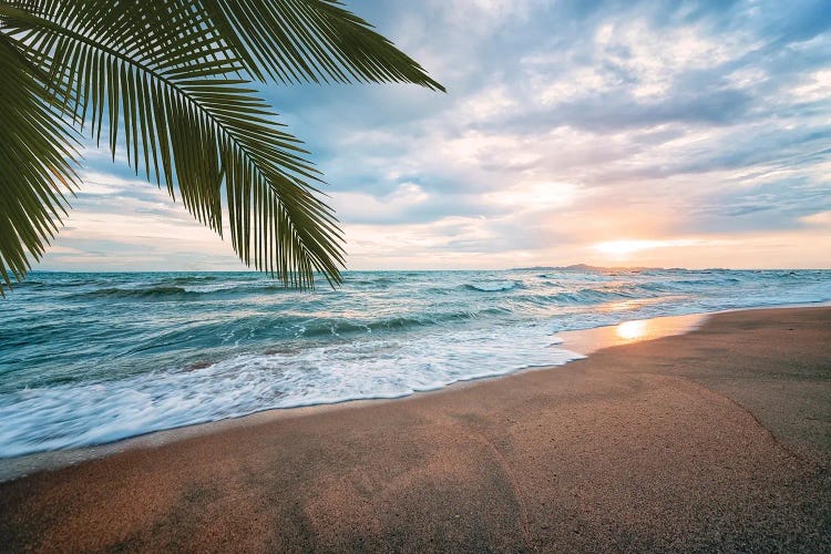 Evening On The Beach