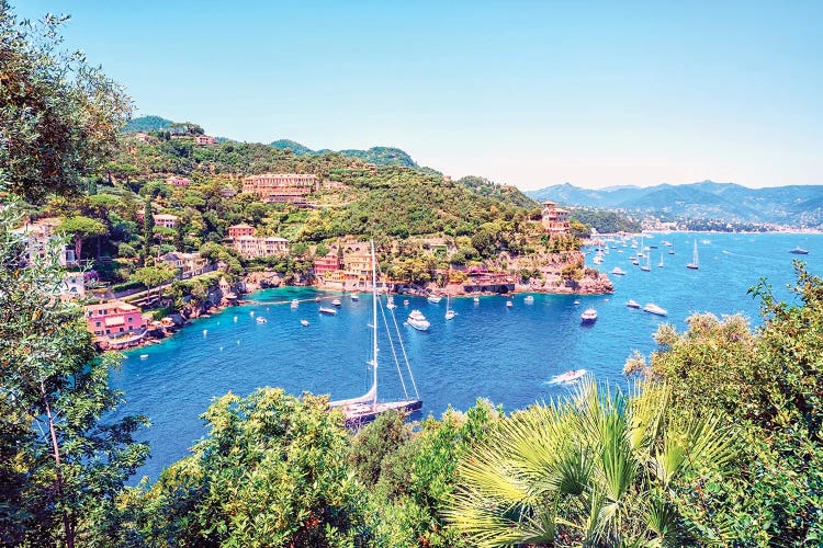 Portofino Coastline by Manjik Pictures wall art