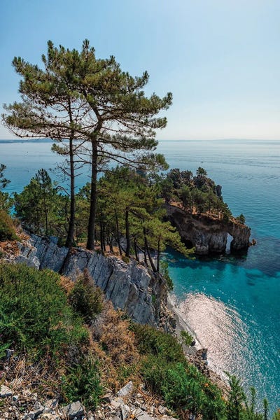 Brittany: French Brittany by Manjik Pictures