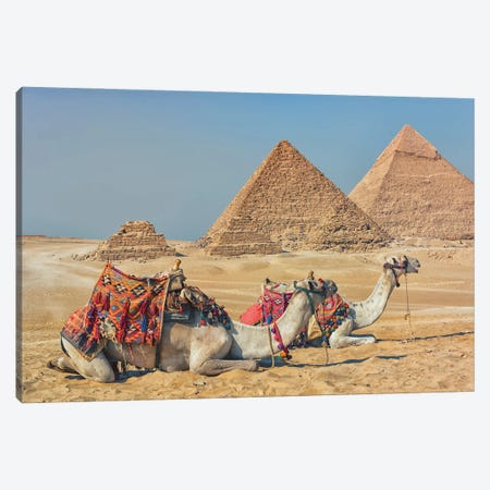 Camels In Egypt Canvas Print #EMN1744} by Manjik Pictures Canvas Artwork